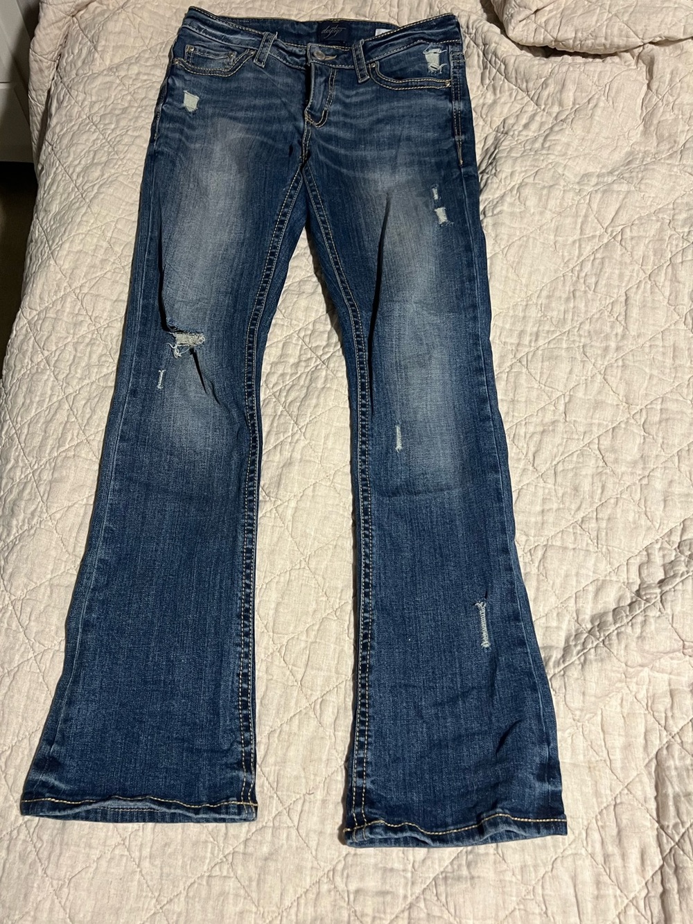 Classic Distressed Women’s Daytrip Buckle Jeans - Blue
